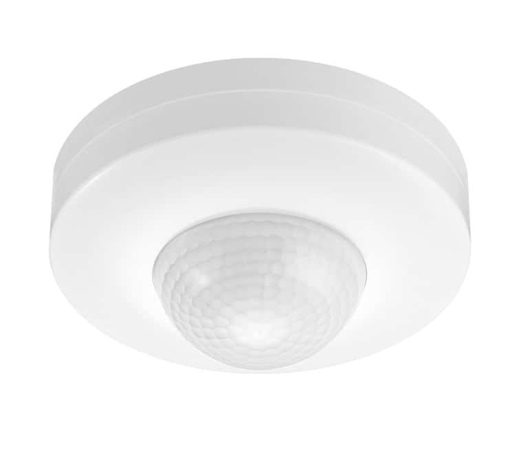 Second Image