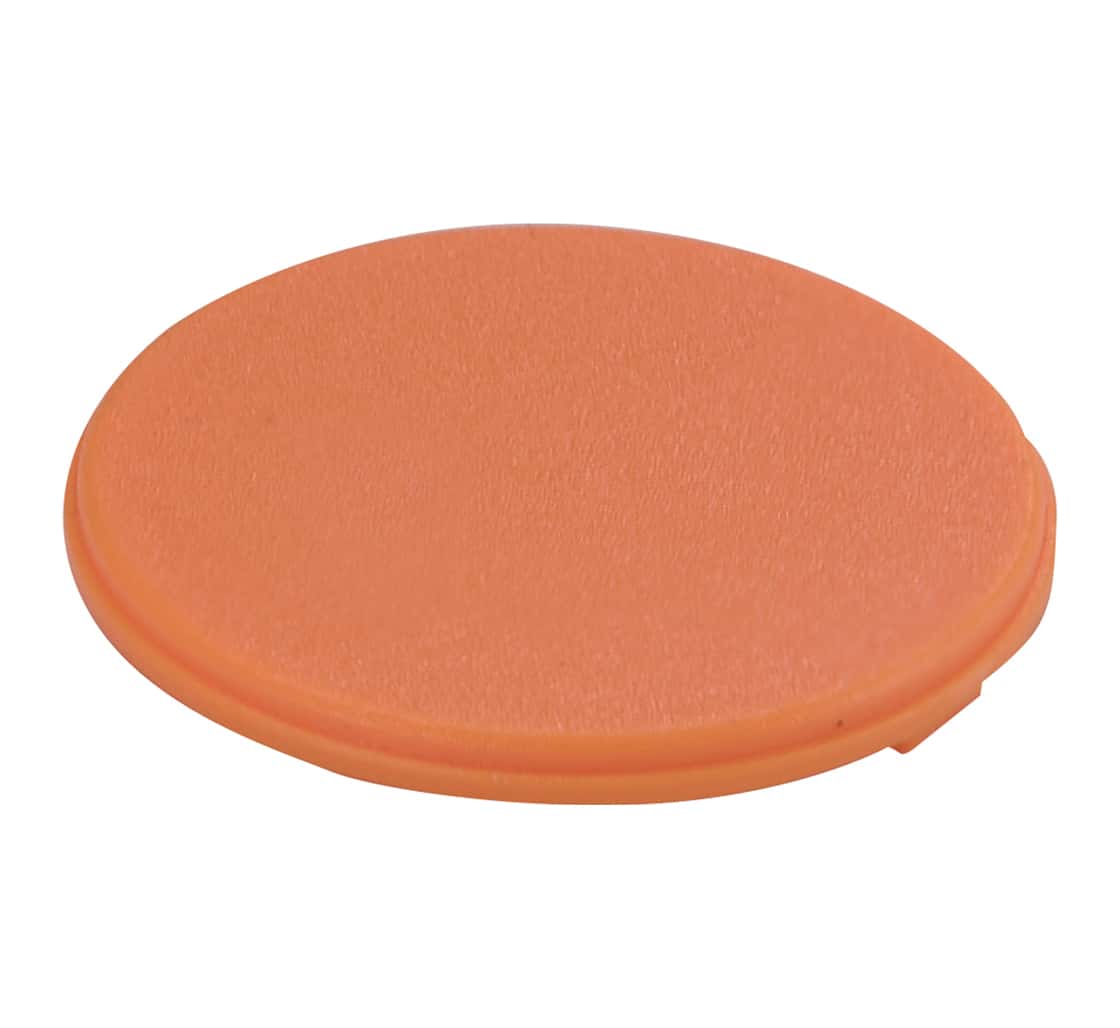 Selected Product Image