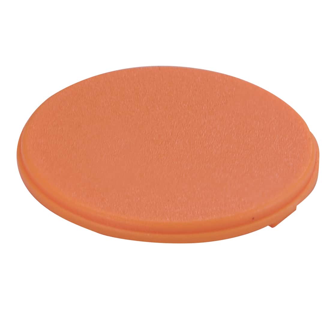 Selected Product Image