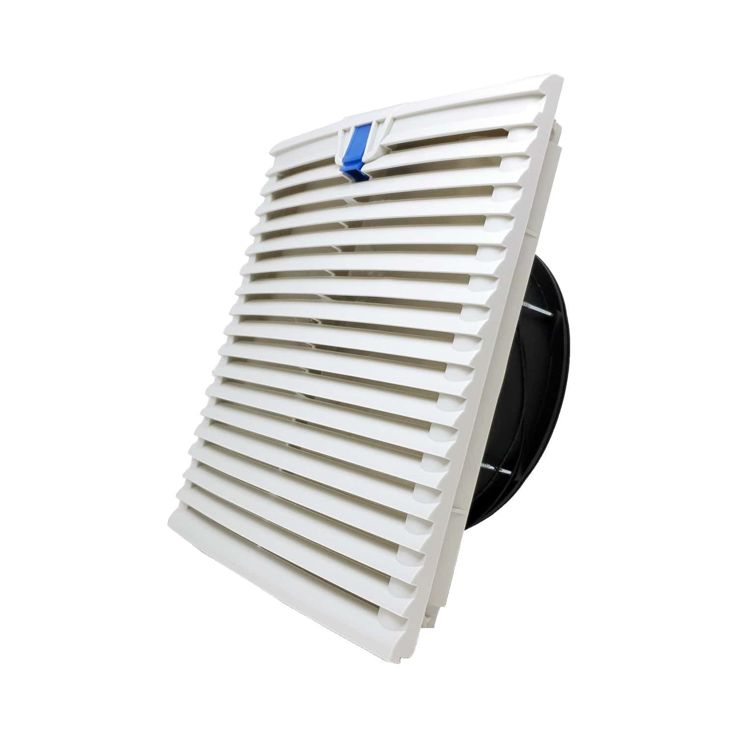 Selected Product Image