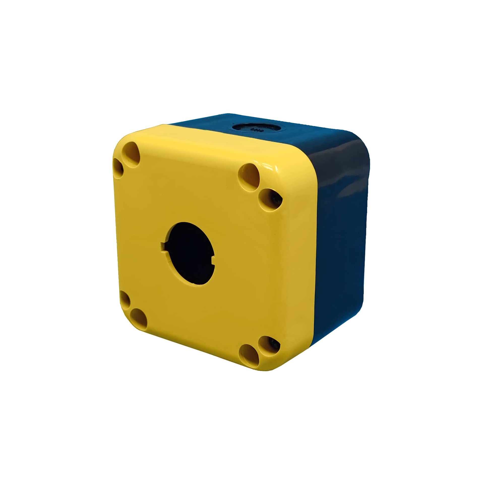 Selected Product Image