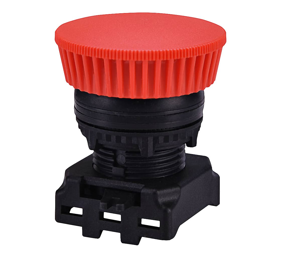 Selected Product Image