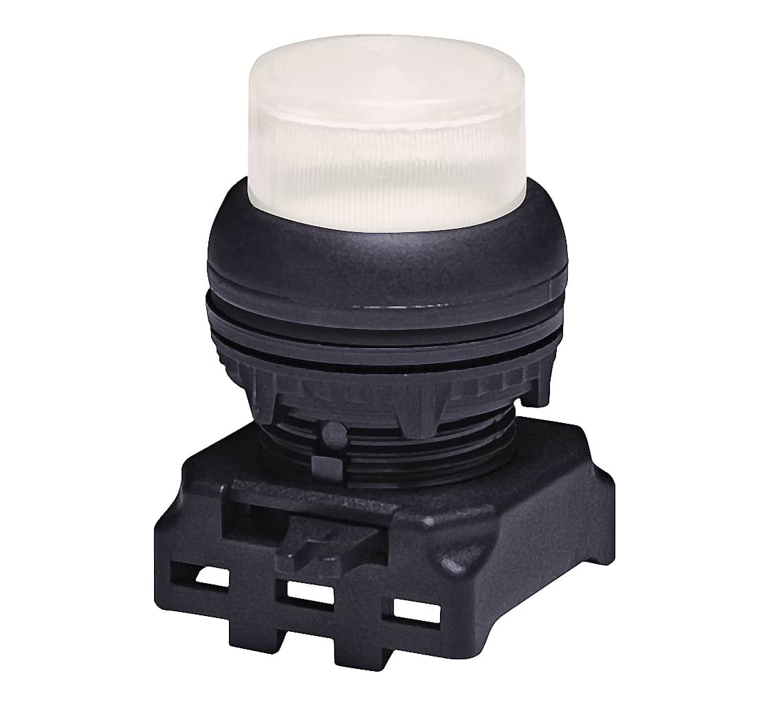 Selected Product Image