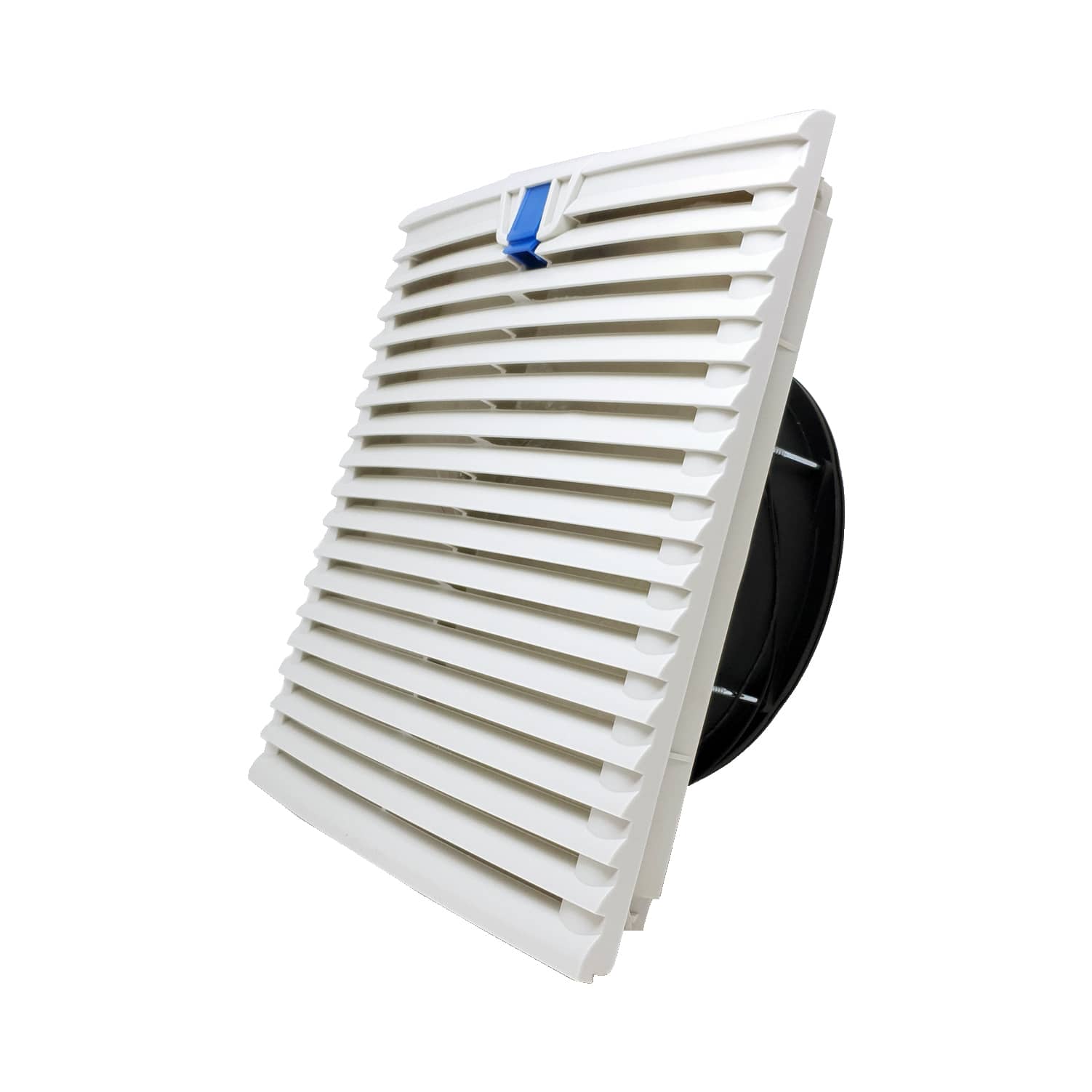 Selected Product Image