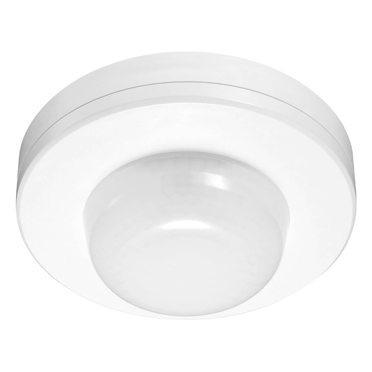 Selected Product Image