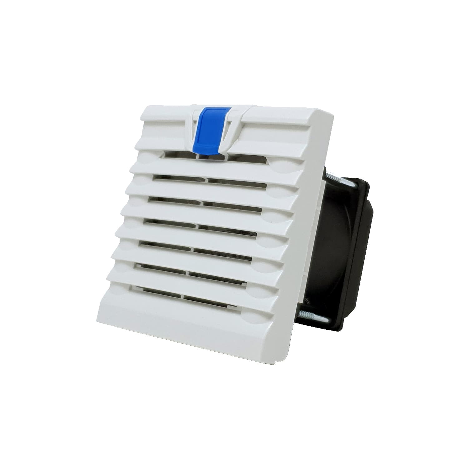 Selected Product Image